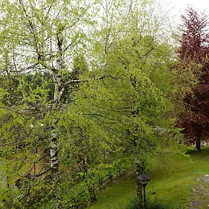  Appartamento Relax Sull'altopiano Di Asiago Italia